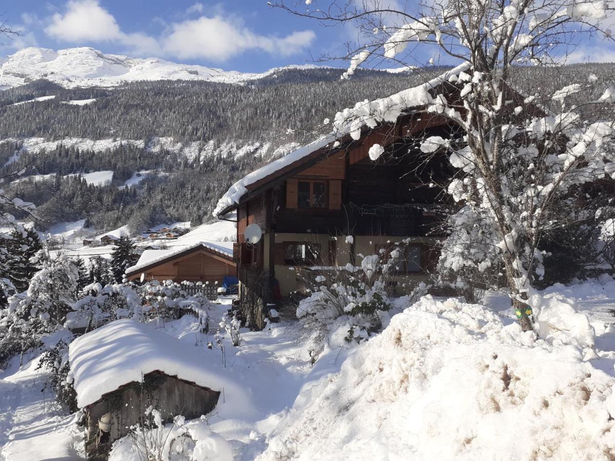 Les Picaillons - Le Gite Les Villards-sur-Thones Экстерьер фото